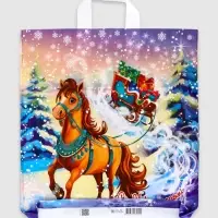 Пакет "Савраска", полиэтиленовый с петлевой ручкой, 42х38 см, 40 мкм