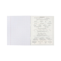 Комплект предметных тетрадей 48 листов, 12 предметов Hatber &laquo;Гармония&raquo;, обложка мелованный картон, выборочный лак, с интерактивным справочником, ...