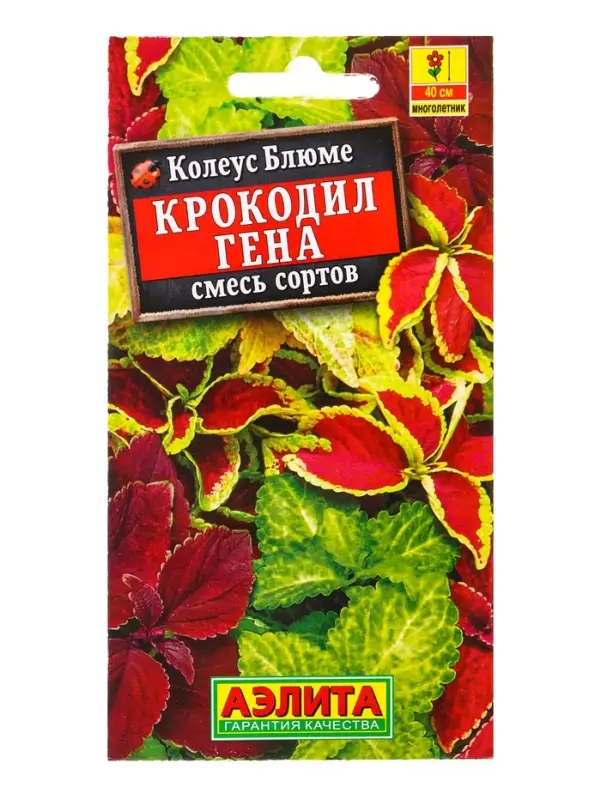 Семена цветов Колеус блюме Крокодил Гена, смесь сортов Мн, Ц/П,0,05 г