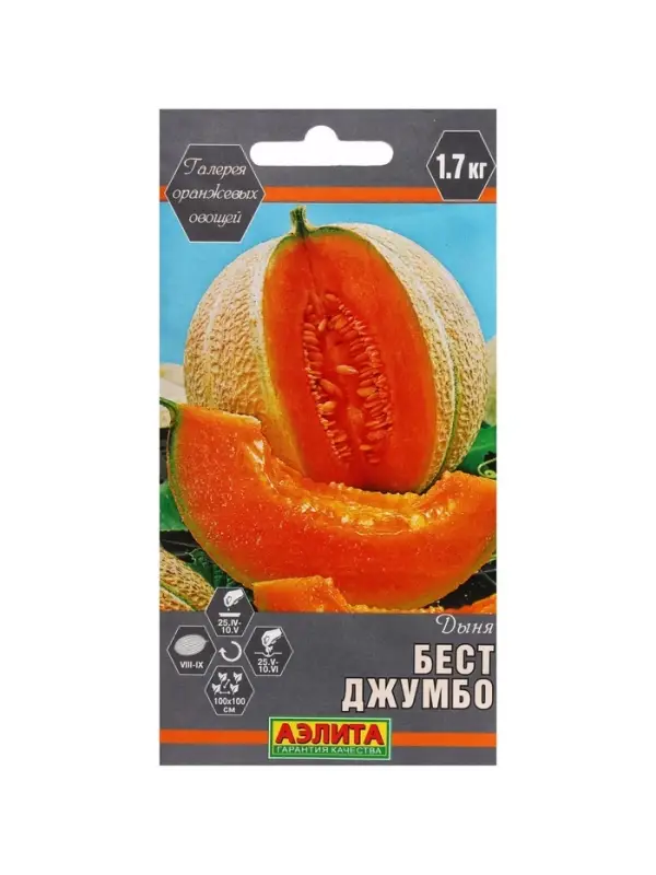 Набор семян Дыня "Бест Джумбо",  5 шт.
