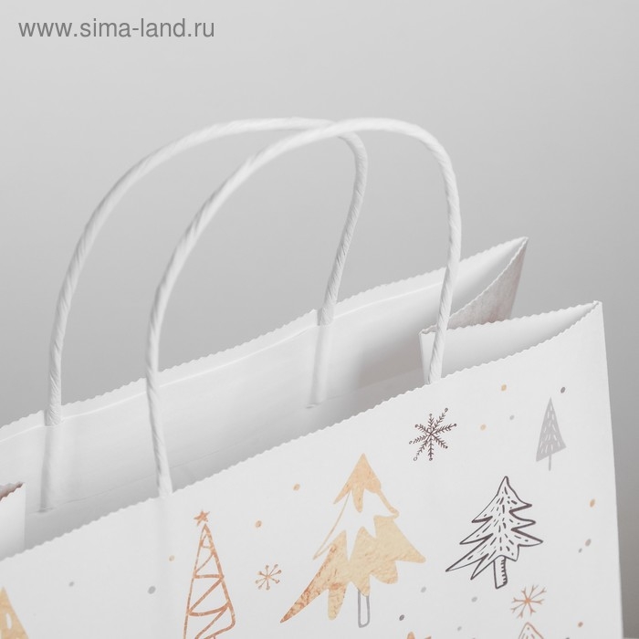 Пакет подарочный новогодний крафт &laquo;Волшебство&raquo;, 25 х 22 х 12 см