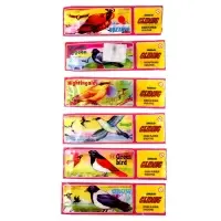 Самолёт &laquo;Птица&raquo;