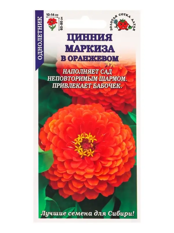 Семена Цинния Маркиза в Оранжевом /Сотка/ 0,2г/ h-90см, d-15см / *1000
