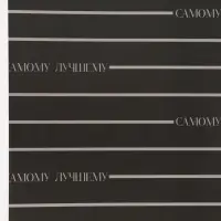 Бумага упаковочная глянцевая &laquo;Поздравляю&raquo;, 50 &times; 70 см