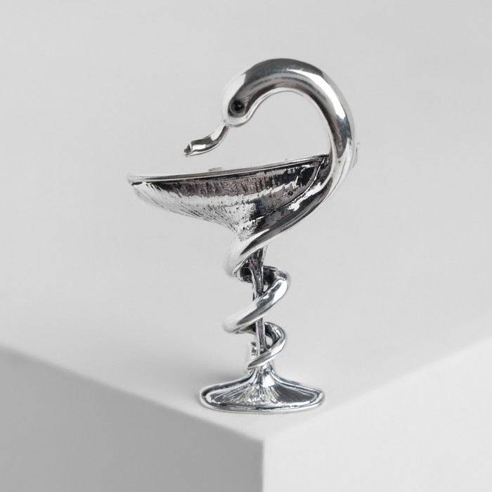 Брошь &laquo;Змея в геральдике&raquo; знак, цвет чернёное серебро