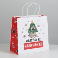Пакет подарочный новогодний &laquo;А вас также&raquo;, 22 х 22 х 11 см, Новый год