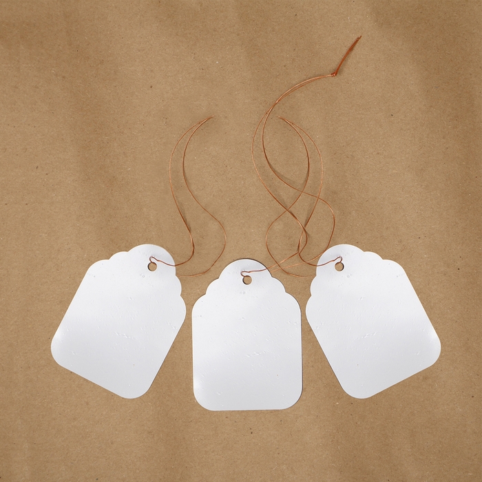 Бирки садовые для маркировки, 6,5 &times; 5 см, набор 20 шт., пластик, белые, Greengo