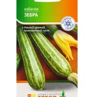 Семена Кабачок "Зебра" 7 шт