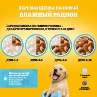 Влажный корм Pedigree для щенков, говядина в соусе, пауч, 85 г
