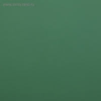 Пленка матовая для цветов, двухсторонняя,"Зефир" ,57 см х 5 м