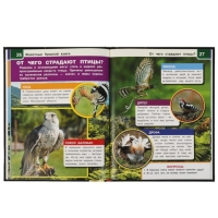 Энциклопедия А4 с дополненной реальностью &laquo;Животные красной книги 4D&raquo;