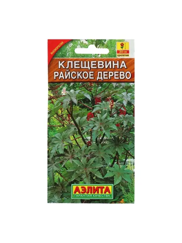 Набор семян Клещевина "Райское дерево", О, 5 шт.