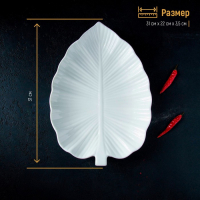 Блюдо фарфоровое Magistro &laquo;Лист Бланш&raquo;, 31&times;22&times;3,5 см, цвет белый
