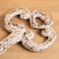 Сувенир &laquo;Ключ от счастья&raquo;, 55&times;4&times;22 см, дерево