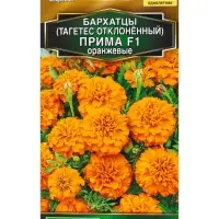 Семена цветов Бархатцы Прима оранжевые F1 отклоненные  Золотая серия, Ц/П,10 шт.