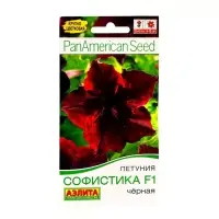 Набор семян Петуния Софистика черная F1 крупноцветковая, 4 шт., 2 шт.