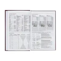 Ежедневник датир 2026г А5 168л б/вин, Бордо