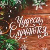 Пакет бумажный подарочный новогодний крафт &laquo;Чудеса&raquo; 15&times;21&times;8 см