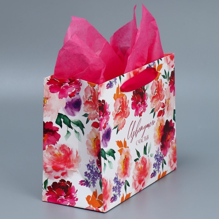 Пакет подарочный ламинированный с тишью, упаковка, &laquo;Счастье&raquo;, MS 23 х 18 х 10 см