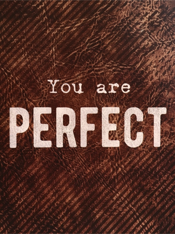 Пакет подарочный вертикальный "YOU are PERFECT", 26 &times; 32 &times; 12 см