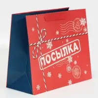 Пакет подарочный новогодний ламинированный &laquo;Посылка для тебя&raquo;, MS 18 х 23 х 10 см
