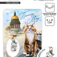 Магнит &laquo;Питер&raquo;, 6&times;8 см
