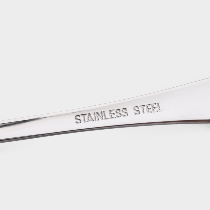 Набор ложек столовых из нержавеющей стали Доляна, длина 21 см, толщина 2,2 мм, 410 сталь, 3 шт