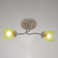 Люстра 1341002/2GN E27 15Вт белый-зеленый BayerLux