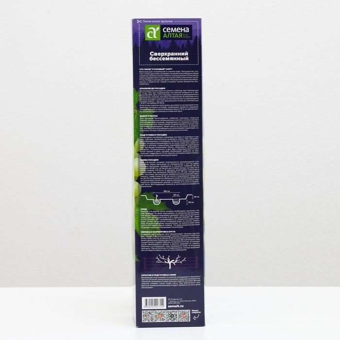 Саженец винограда Сверхранний Бессемянный Весна 2024, 1 шт.