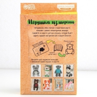 Валяние из шерсти. Игрушка &laquo;Зайчик&raquo;, набор для творчества