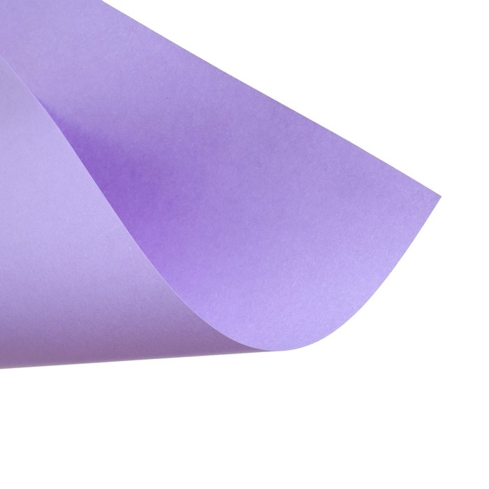 Бумага цветная А4, 12 листов, 12 цветов Calligrata, тонированная в массе, 80 г/м&sup2;