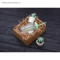 Кружка стеклянная с крышкой и трубочкой Доляна &laquo;Кактус&raquo;, 450 мл, 11&times;7&times;15 см
