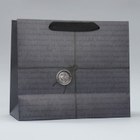 Пакет подарочный ламинированный горизонтальный, упаковка, &laquo;Лучшему во всём&raquo;, ML 27 х 23 х 11,5 см