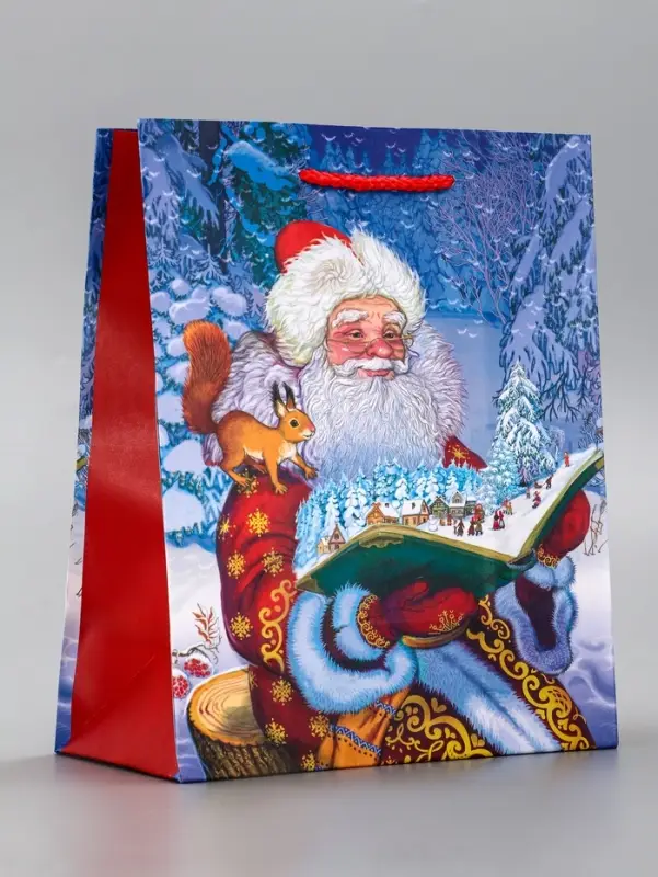 Пакет подарочный новогодний ламинированный, &laquo;Дед мороз&raquo; , 18&times;10&times;22.3 см