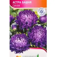 Семена Астра Башня Синяя 0,3 г