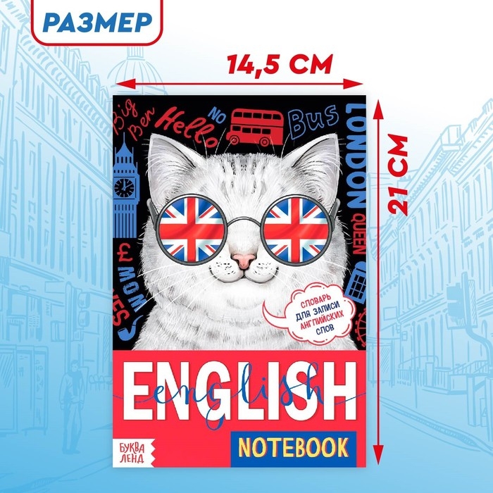 Словарь для записи английских слов English notebook. &laquo;Кот&raquo;, 52 стр.