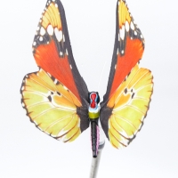 Штекер с подсветкой "Бабочка Адриа" желтая, 12х70см