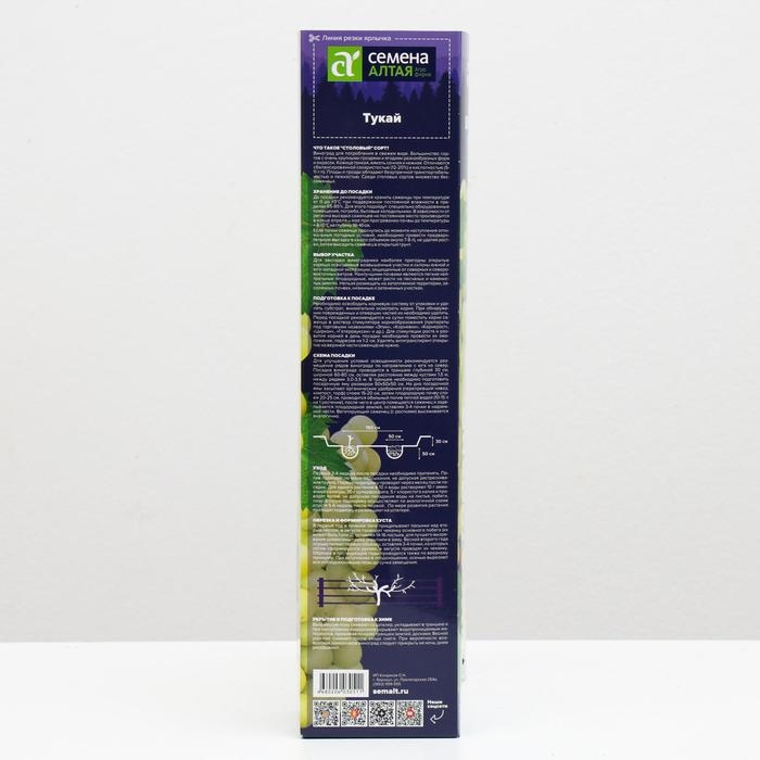 Саженец винограда Тукай,  Весна 2024, 1 шт.