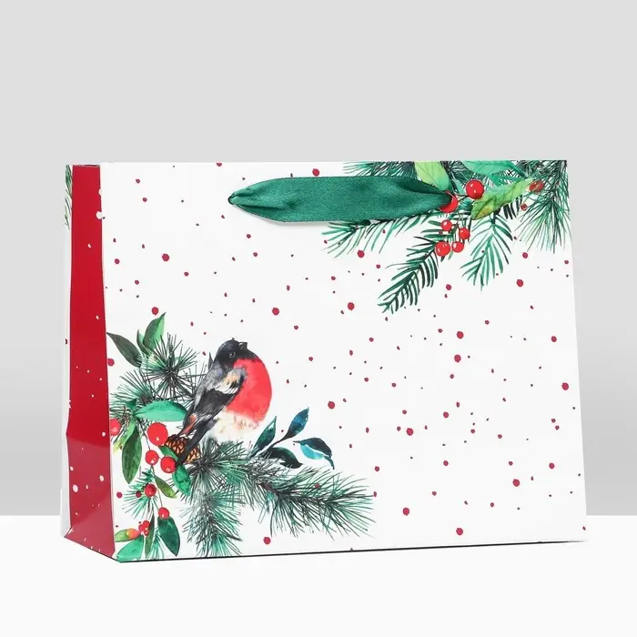 Пакет подарочный "Снегирь на праздник ",  23 х 17,8 х 9,8 см
