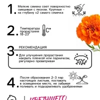 Семена цветов Бархатцы прямостоячие "Оранжевый принц", 0,3 г