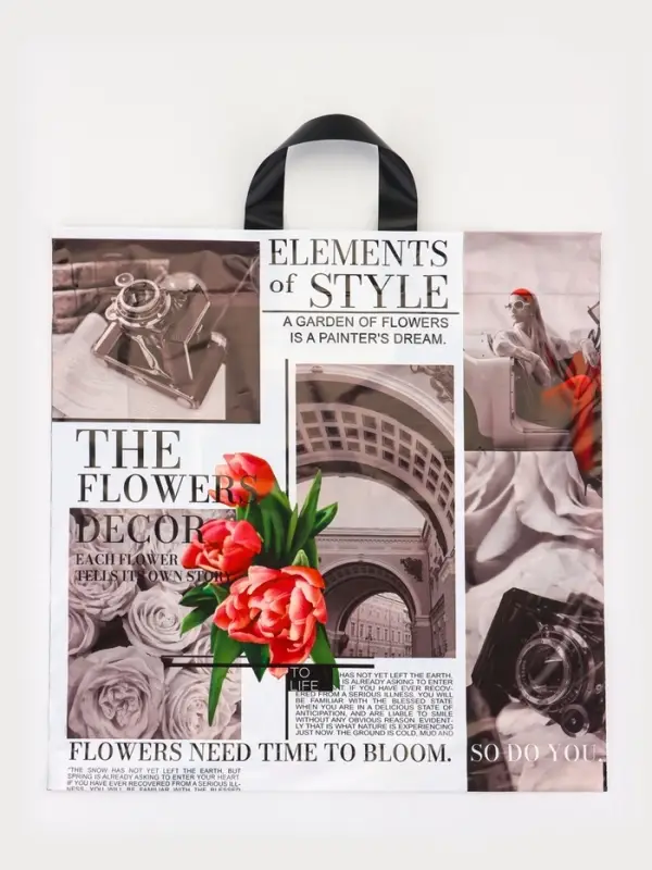 Пакет "Визуал", полиэтиленовый с петлевой ручкой, 42х45 см, 45 мкм