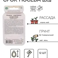 Семена Огурец "Кудесник", корнишон,  серия Банка, 12 шт