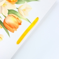 Пакет подарочный ламинированный вертикальный &laquo;Тюльпаны&raquo;, XL 40 &times; 49 &times; 19 см