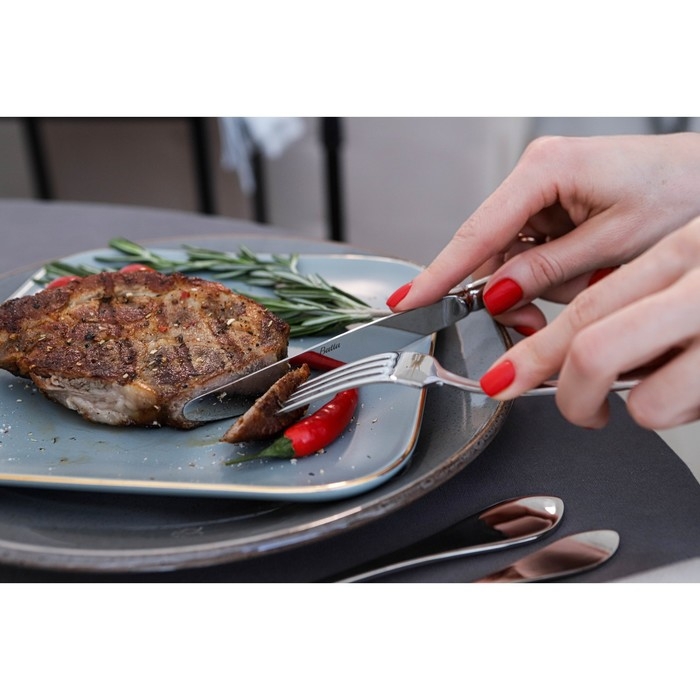 Нож столовый из нержавеющей стали &laquo;Беркли&raquo;, длина 23,8 см, цвет серебряный