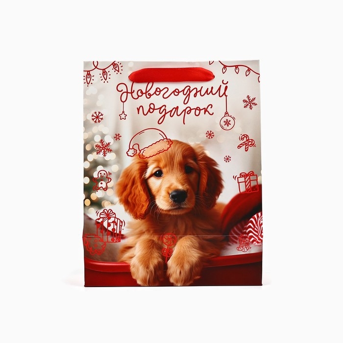 Пакет подарочный новогодний ламинированный &laquo;Новогодний подарок&raquo;, MS 18 х 23 х 10 см , Новый год