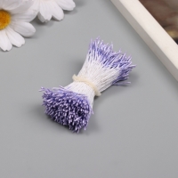 Тычинки для искусственных цветов глянец "Рисинки" сиреневый набор 360 шт длина 6 см