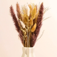 Сухоцветы &laquo;Лагурус&raquo;, набор из 3 видов, 48 &times; 16 &times; 6 см