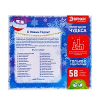 Набор для опытов &laquo;Новогодние чудеса&raquo;, 58 опытов