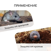 Сетка оцинкованная, сварная, 10 &times; 1 м, ячейка 12,5 &times; 12,5 мм, d = 1 мм, Greengo