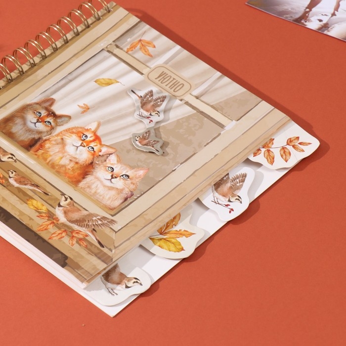 Фотоальбом на спирали 20 листов "Котики в окне" объёмный элемент + 4 вкладки 24х24 см